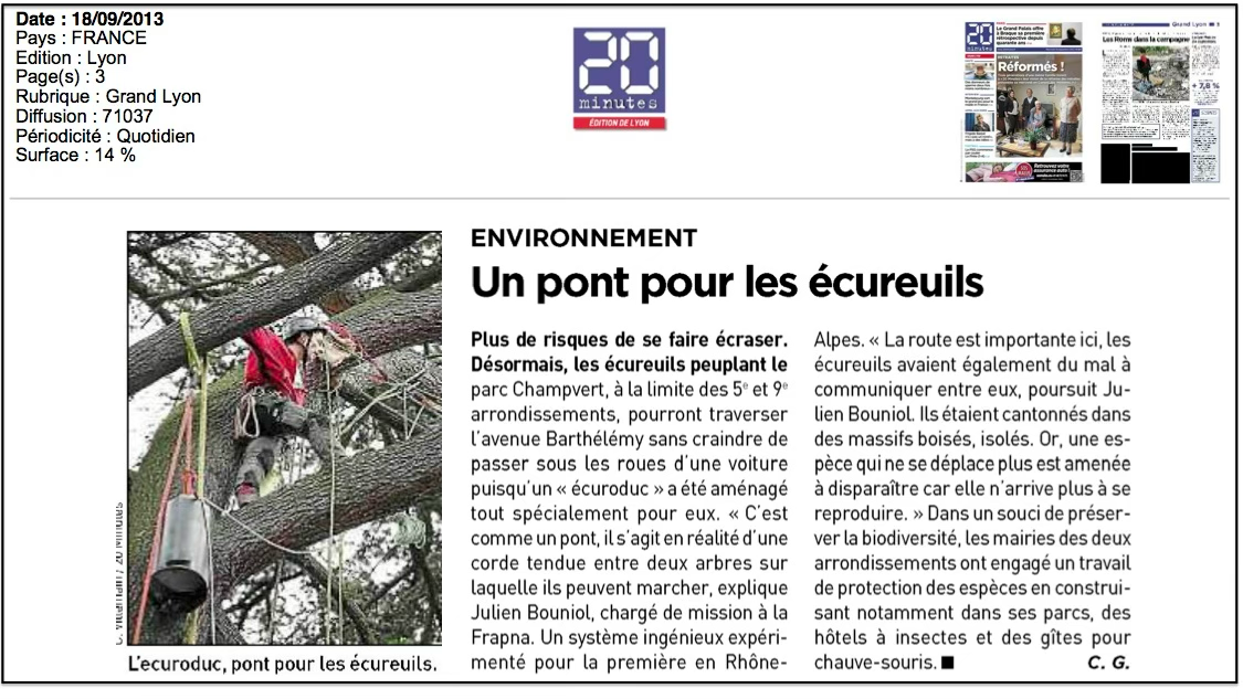 Un pont pour les écureuils