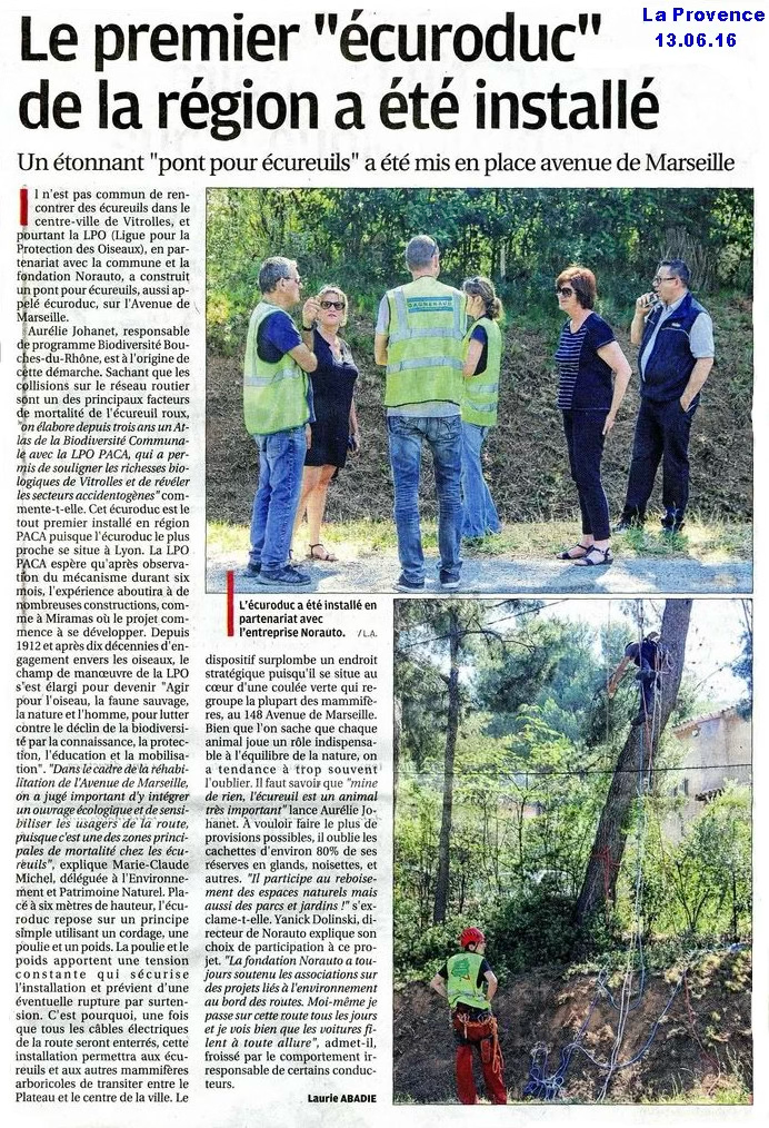 Le premier « écuroduc » de la région a été installé
